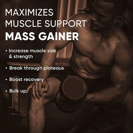 DENZOUR MASS GAINER